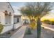 Landscaped walkway leading to the home entrance at 6015 E Calle De Las Estrellas --, Cave Creek, AZ 85331