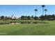 Golf course scenery with a pond and palm trees at 9321 E Diamond Dr, Sun Lakes, AZ 85248