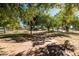 Pathway through a park with benches and trees at 9916 E Dolphin Cir, Mesa, AZ 85208