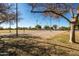 Sand volleyball court surrounded by trees at 9916 E Dolphin Cir, Mesa, AZ 85208