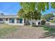 Backyard with an orange tree, grass, and patio at 10432 W El Capitan Cir, Sun City, AZ 85351