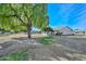 Landscaped backyard with mature trees and grass at 10432 W El Capitan Cir, Sun City, AZ 85351