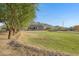 House exterior showcasing the property's expansive grounds at 17642 E Hunt Hwy, Queen Creek, AZ 85142