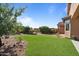 Artificial turf lawn and desert landscaping in the backyard at 18311 E San Ignacio Ct, Gold Canyon, AZ 85118