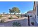 Landscaped backyard with gravel and desert plants at 2622 E Marcos Dr, Casa Grande, AZ 85194