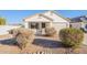 Landscaped front yard with drought-tolerant shrubs and gravel at 34403 N Damietta Trl, San Tan Valley, AZ 85143