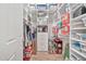 Organized closet with shelving for storage at 40610 N Bradon Ct, Phoenix, AZ 85086