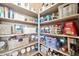 Well-organized pantry with ample shelving for storage at 40610 N Bradon Ct, Phoenix, AZ 85086