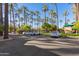 Ample parking lot with palm trees providing shade at 4540 N 44Th St # 69, Phoenix, AZ 85018