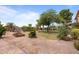 Landscaped side yard with lush greenery and garden at 5271 E Shiprock St, Apache Junction, AZ 85119