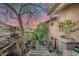 Stone pathway through a lush garden with various plants at 12 E Foothill Dr, Phoenix, AZ 85020