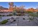 Landscaped front yard with desert landscaping and mountain views at 12657 N 135Th St, Scottsdale, AZ 85259