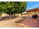 Backyard patio with a large tree and stepping stone pathway at 1724 W 15Th Ave, Apache Junction, AZ 85120