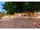 Large backyard with mature trees and a stone pathway at 1724 W 15Th Ave, Apache Junction, AZ 85120