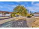 Landscaped backyard with mature citrus tree and gravel at 18625 N 103Rd Ave, Sun City, AZ 85373