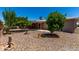 Backyard with citrus trees, patio, rock landscaping and privacy fence at 4054 E Clovis Cir, Mesa, AZ 85206