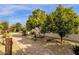 Landscaped walkway with decorative plants and stone at 5089 S Harvest St, Gilbert, AZ 85298