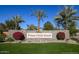 Pecan Creek South community entrance with stone signage, desert landscaping, and palm trees on a sunny day at 509 E Daniella Dr, San Tan Valley, AZ 85140