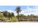 Tranquil waterfront view with lush greenery and mature trees at 7175 E Camelback Rd # 207, Scottsdale, AZ 85251