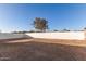 Large backyard with dirt and a short wall at 874 E Tyson St, Chandler, AZ 85225