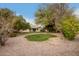 Lush backyard offers a beautiful grassy area surrounded by desert landscaping and mature trees at 10417 E Becker Ln, Scottsdale, AZ 85259