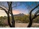 Desert landscape with mountain view framed by trees at 34587 N Ironwood Rd, Scottsdale, AZ 85266