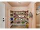 Large pantry with shelves stocked with food and supplies at 5731 W Aster Dr, Glendale, AZ 85304