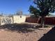 Large backyard with storage shed and mature tree at 13013 N 19Th Pl, Phoenix, AZ 85022