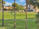 Picturesque view of golfers on a lush green golf course, framed by palm trees and surrounding homes at 19531 N 69Th Ave, Glendale, AZ 85308