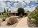 Serene backyard with desert landscaping, including cacti and a covered patio for outdoor enjoyment at 25432 S Queen Palm Dr, Sun Lakes, AZ 85248