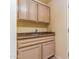 Laundry room sink and cabinetry with a countertop and neutral color scheme at 25440 S Flame Tree Dr, Sun Lakes, AZ 85248