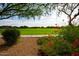 Scenic view of a grassy field with a walking path and landscaping at 3729 E Donald Dr, Phoenix, AZ 85050