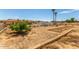 Large backyard with fruit trees and garden space at 4832 W Saguaro Park Ln, Glendale, AZ 85310