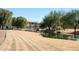 Serene pond with lush landscaping and homes in the background at 730 E Zesta Ln # 101, Gilbert, AZ 85297