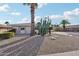 Landscaped front yard with drought-tolerant plants and a palm tree at 9729 W Pinecrest Dr, Sun City, AZ 85351