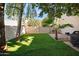 Landscaped backyard with artificial turf and palm trees at 11192 N 109Th Pl, Scottsdale, AZ 85259