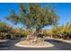 Community entrance with signage and landscaping at 12159 N 120Th Way, Scottsdale, AZ 85259
