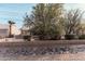 Landscaped backyard with desert plants at 14846 W Tomahawk Way, Sun City West, AZ 85375