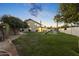 Expansive grassy backyard with playset and mature trees at 1848 E Mallory St, Mesa, AZ 85203