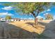 Large backyard with grassy area and mature trees at 2911 W Latona Rd # 1, Laveen, AZ 85339