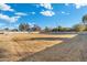 Large grassy side yard with mature trees at 2911 W Latona Rd # 1, Laveen, AZ 85339