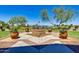 Landscaped garden with a statue at 42493 W Candyland Pl, Maricopa, AZ 85138