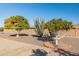 Landscaped backyard with fruit trees and cacti at 9814 W Cedar Dr, Sun City, AZ 85351