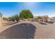 Landscaped backyard featuring gravel, trees, and a fire pit at 9814 W Cedar Dr, Sun City, AZ 85351