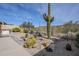 Landscaped backyard with a variety of cacti and a water fountain at 17421 E Via Del Oro --, Fountain Hills, AZ 85268