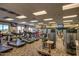 Fitness center featuring treadmills, weight machines, and exercise balls at 17531 W Liberty Ln, Goodyear, AZ 85338