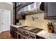 Beautiful kitchen featuring high-end stainless steel appliances and custom range hood at 1783 E Desert Broom Pl, Chandler, AZ 85286