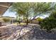 Spacious backyard with patio, grass, and mature tree at 2037 E Fountain St, Mesa, AZ 85213