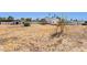 Large backyard with sheds and open space at 3312 E Flower St, Phoenix, AZ 85018