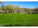 Expansive lawn area dotted with trees and shrubs, offering a serene outdoor space at 41007 N Harbour Town Way, Anthem, AZ 85086